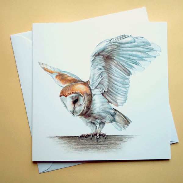 Greetings card - blank - Barn Owl