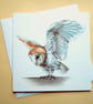 Greetings card - blank - Barn Owl