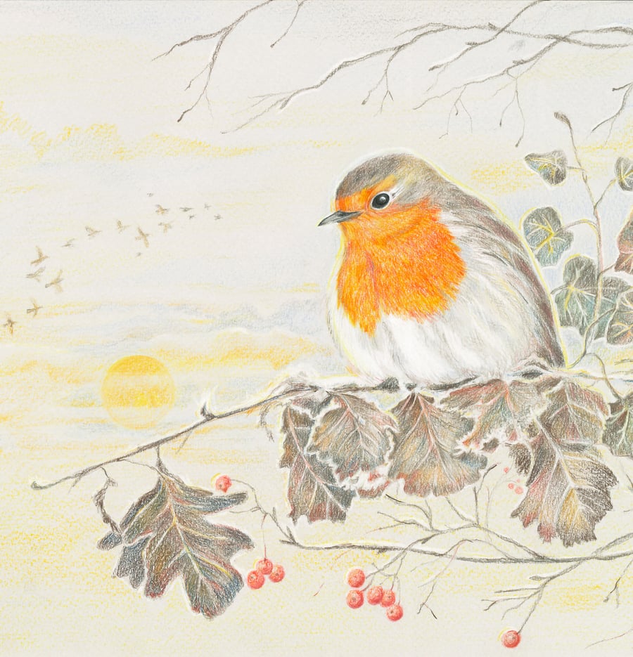  Robin Greetings Card - Frosty morning Robin