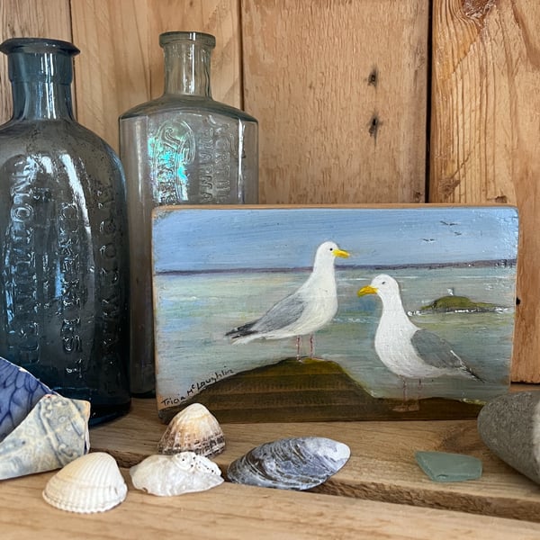 Original acrylic painting of 2 seagulls on reclaimed timber