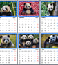 2027 Calendar Panda A4 Page Per Month 