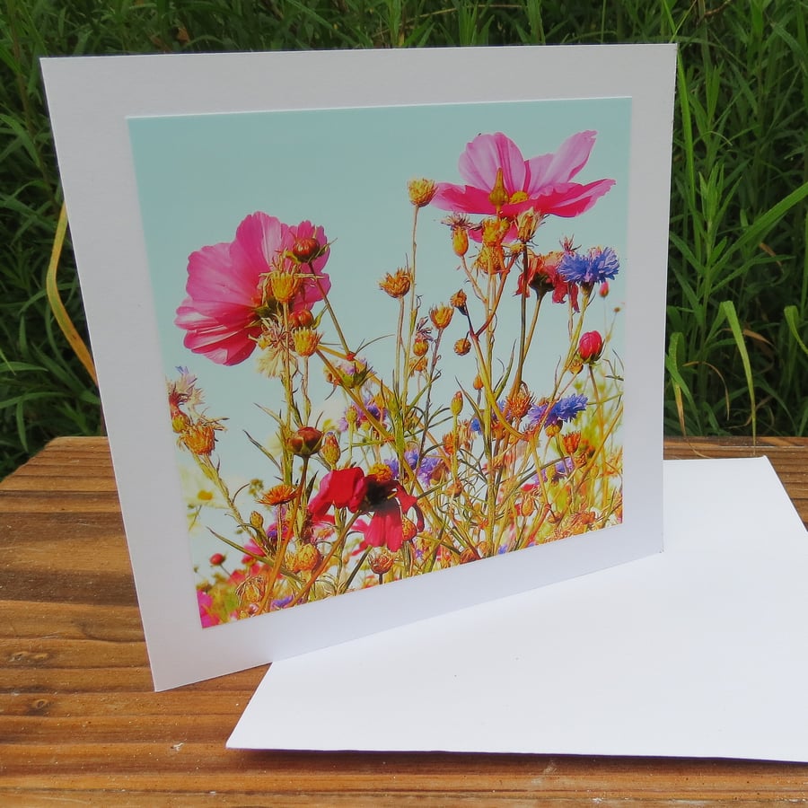 Wild flower meadow.  A card feauring an original photograph.  Blank inside.