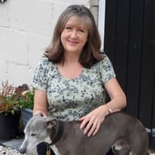 Janet Davies Art