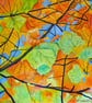 Framed  Oil Painting of Autumn Leaves Square Art  - Image 1
