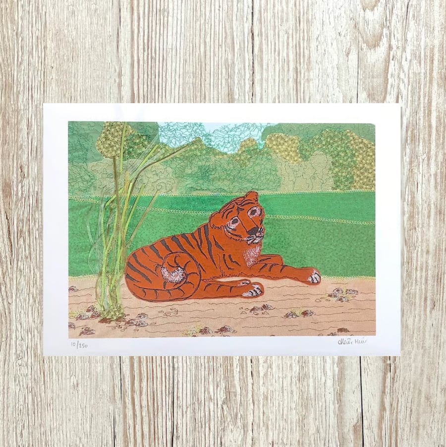 Tiger print - zoo animal art picture of tiger