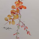 BERBERIS IN AUTUMN 