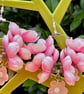 BLUSH PINK FLORAL EARRINGS silk flowers SAKURA BLOSSOM - Image 8