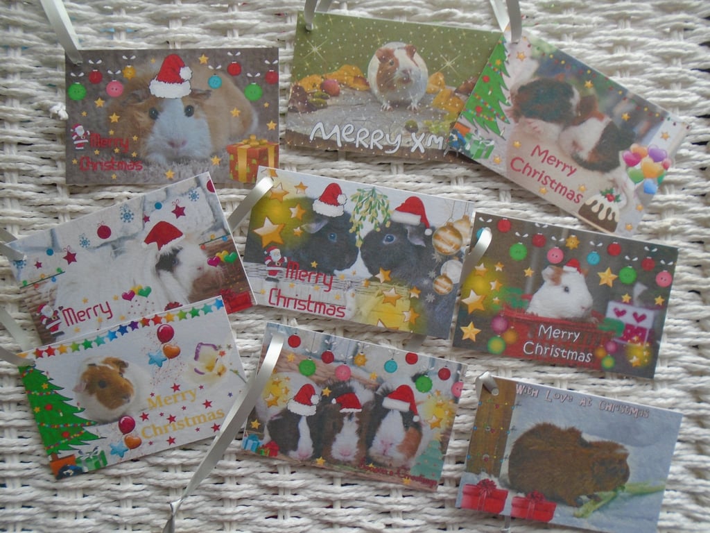 9 Mixed Guinea Pig Christmas Tags Double Sided 