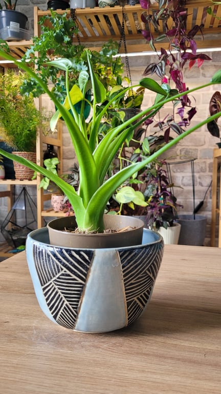 Geometric Black and Blue Planter Handmade Ceramics