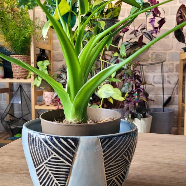 Geometric Black and Blue Planter Handmade Ceramics