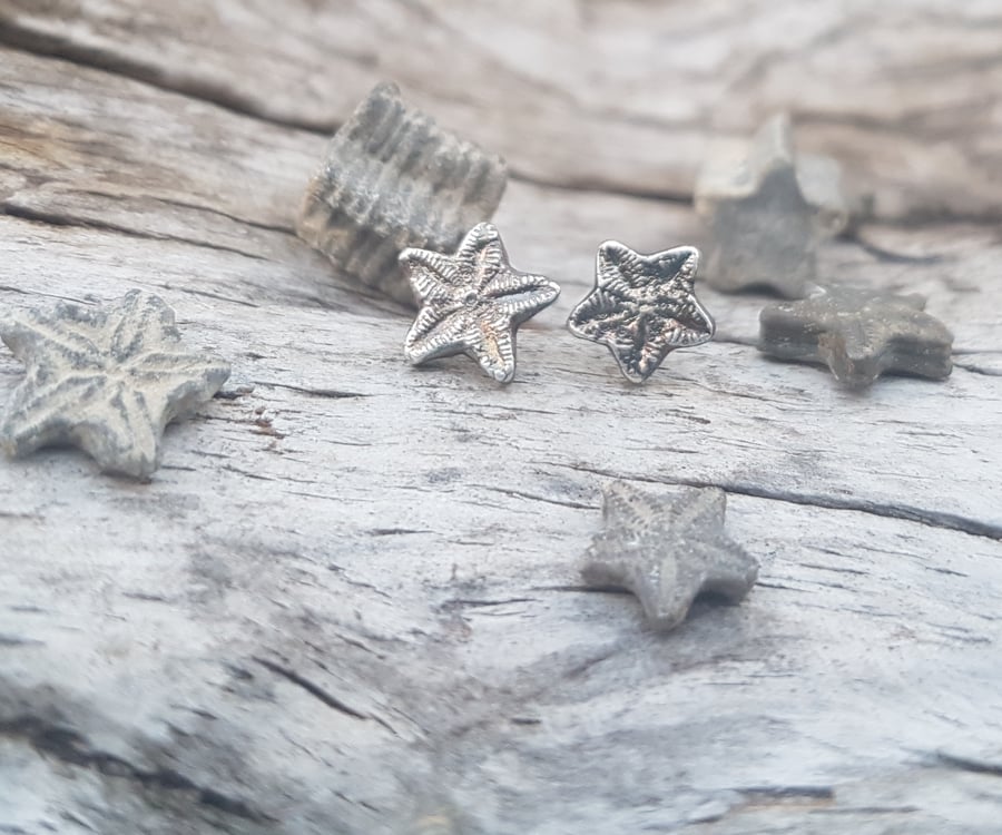 Sea Lily Fossil Studs