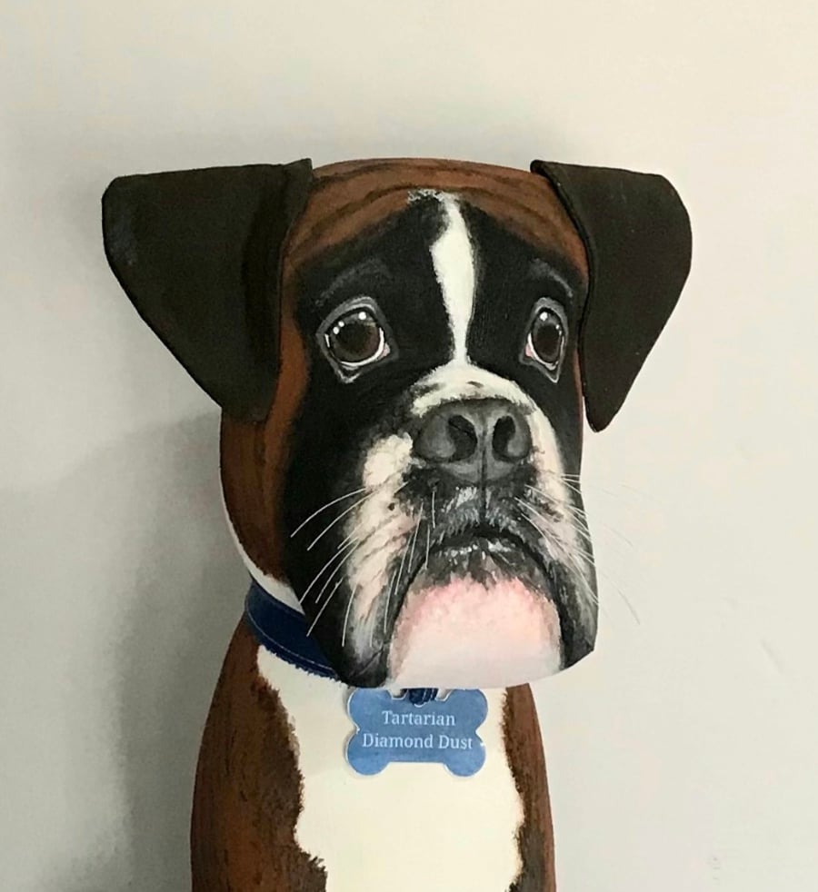 Boxer Dog