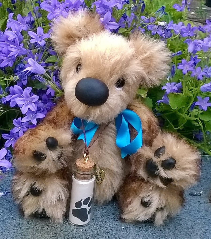 'Toffee'. A bear with a special message in a bottle