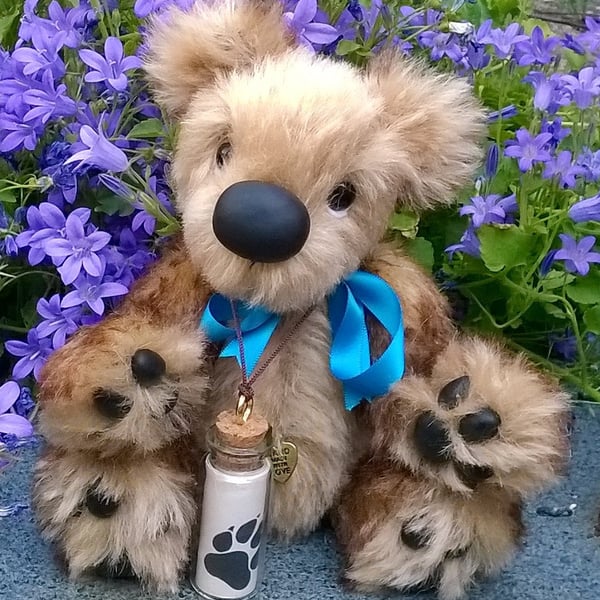 'Toffee'. A bear with a special message in a bottle