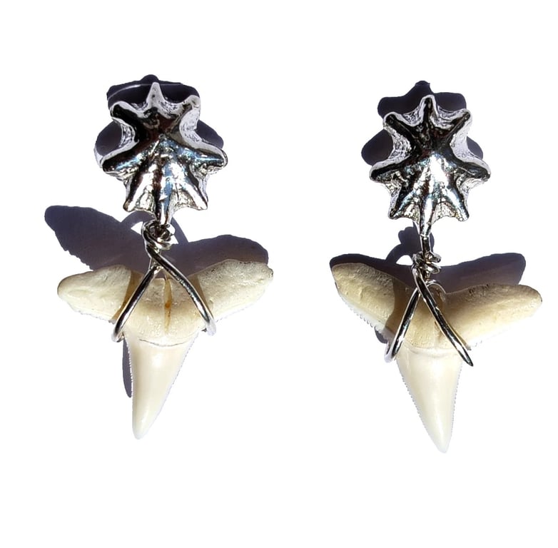 Sharks Tooth & Seashell Drop Earrings Fine & Recycled Sterling Silver Jewellery