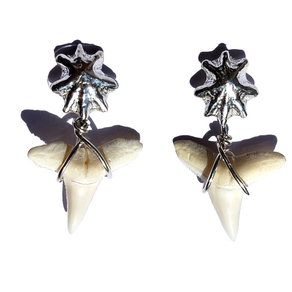 Sharks Tooth & Seashell Drop Earrings Fine & Recycled Sterling Silver Jewellery