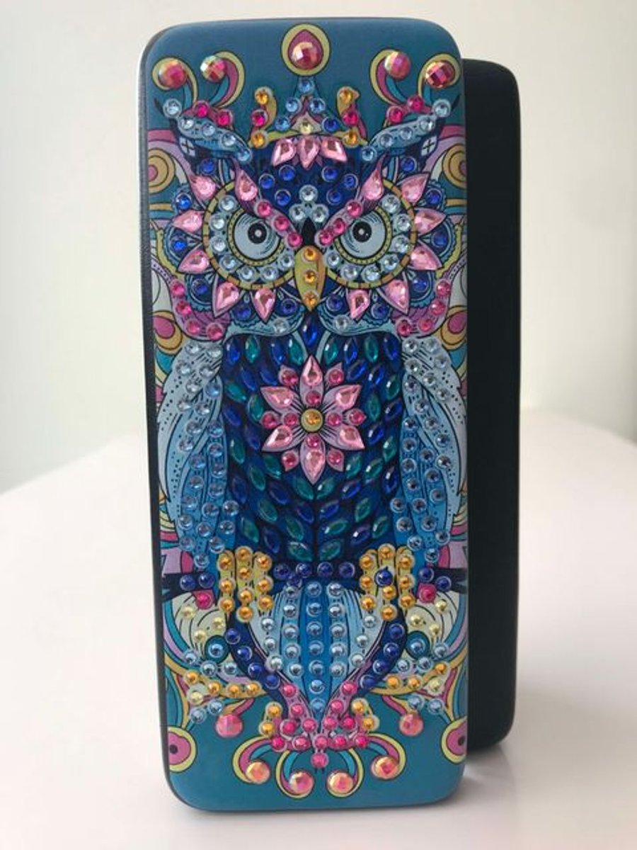 Diamond Art  Owl Eyeglasses Storage Box