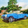 Custom order reserved for Lynn classic car commission painting