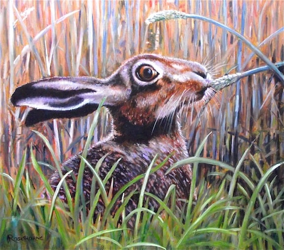 BROWN HARE, NIBBLES.  ORIGINAL NEW FRAMED OIL PAINTING.