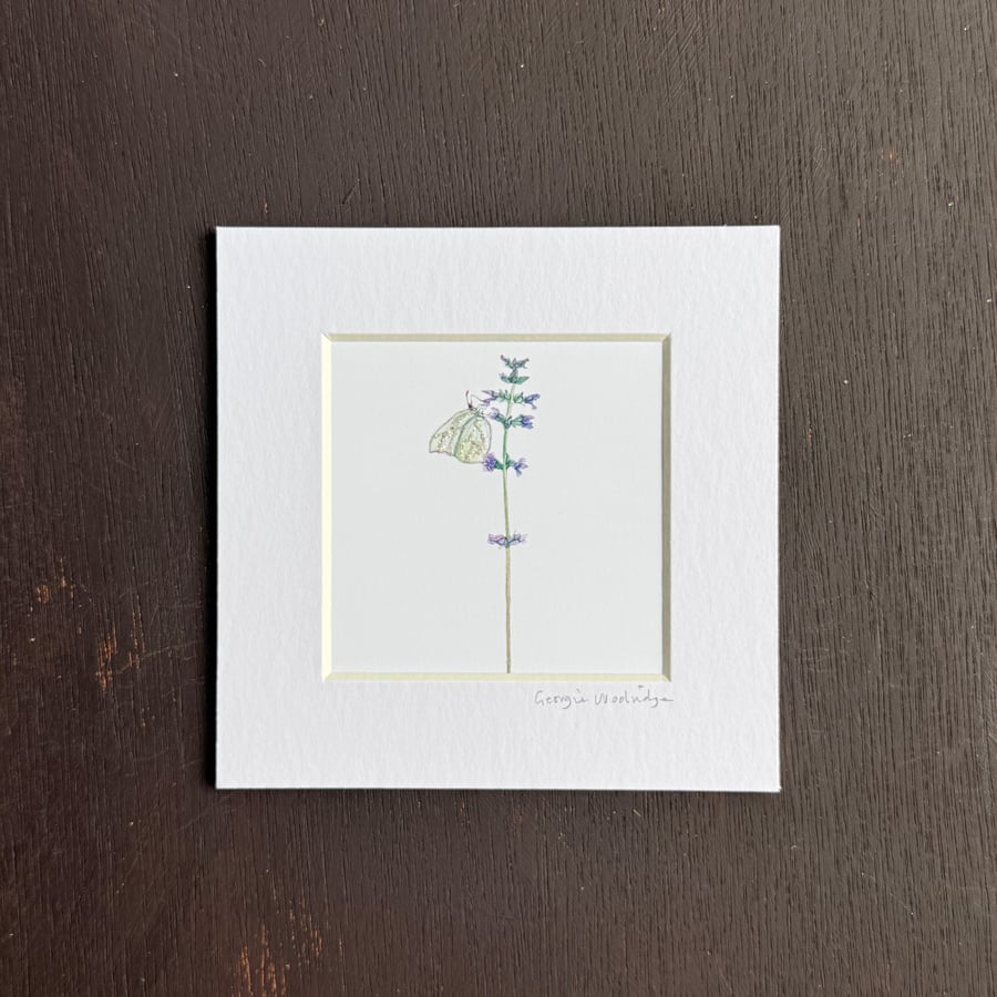 'Green Butterfly' 5" x 5" Hand Finished Print