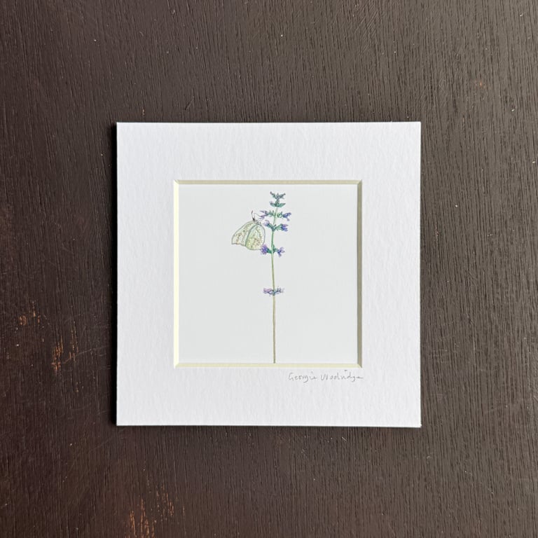 'Green Butterfly' 5" x 5" Hand Finished Print