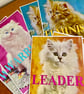 Leader Cat - Image 3