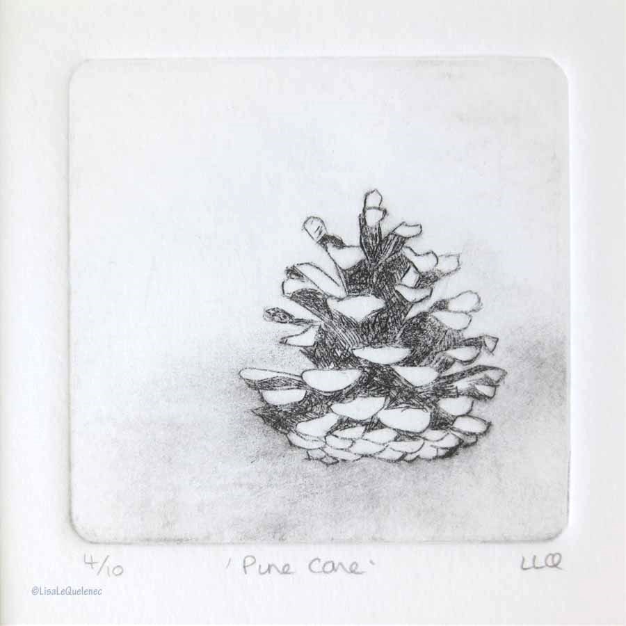 Original pine cone drypoint etching