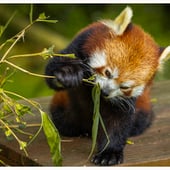 Castiel Bailey Photography