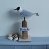 Mini black headed gull