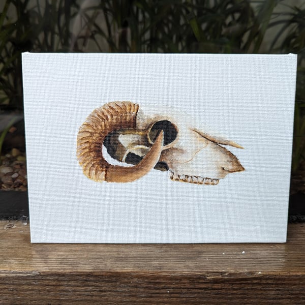 Ram Sheep Skull Painting 