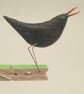 Pecking peg bird - Image 1