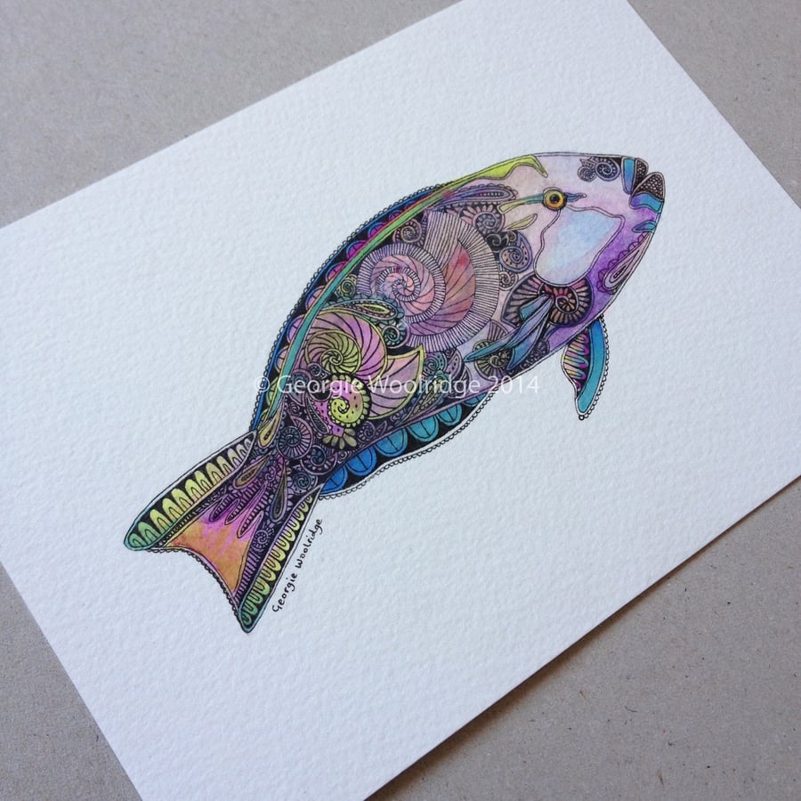 'Parrotfish' Original drawing