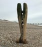 The Croc: A4 photo or A3 poster, unframed. - Image 3