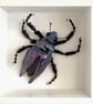 Ceramic Porcelain Bug - Gary - Image 7