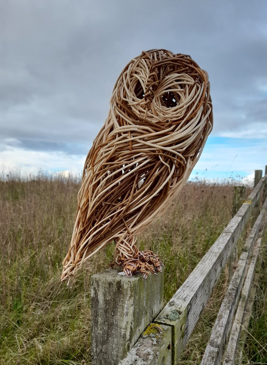 A4 Print 'The Silent Hunter'