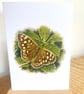 Blank Card A6 Portrait - Speckled Wood - Image 1