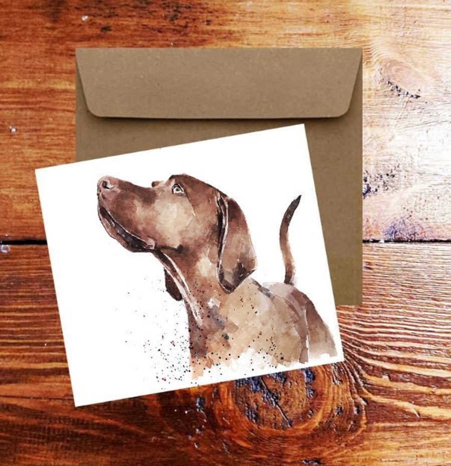 Vizsla Dog Patiently Waiting - Square Greeting Card- Vizsla Dog card,Vizsla Dog 