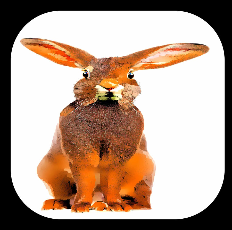 Hare with Floppy Ears Coaster; High Qulity Design, 9.cm x 9.cm