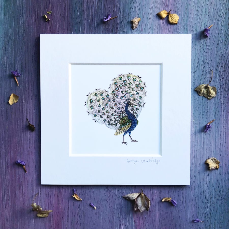 'Peacock Love' 5" x 5" Mounted Print