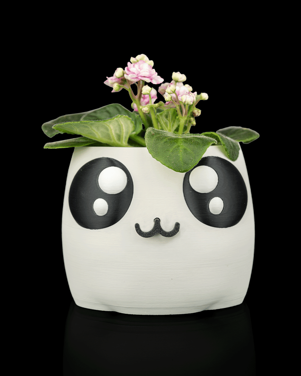 Bloop Face  Self-Watering Planter –i 3D Printed 