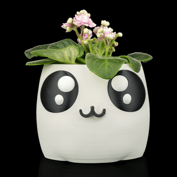Bloop Face  Self-Watering Planter –i 3D Printed 