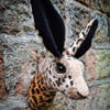 Faux hare head wall mount in faux cheetah print velvet- Miss Lily