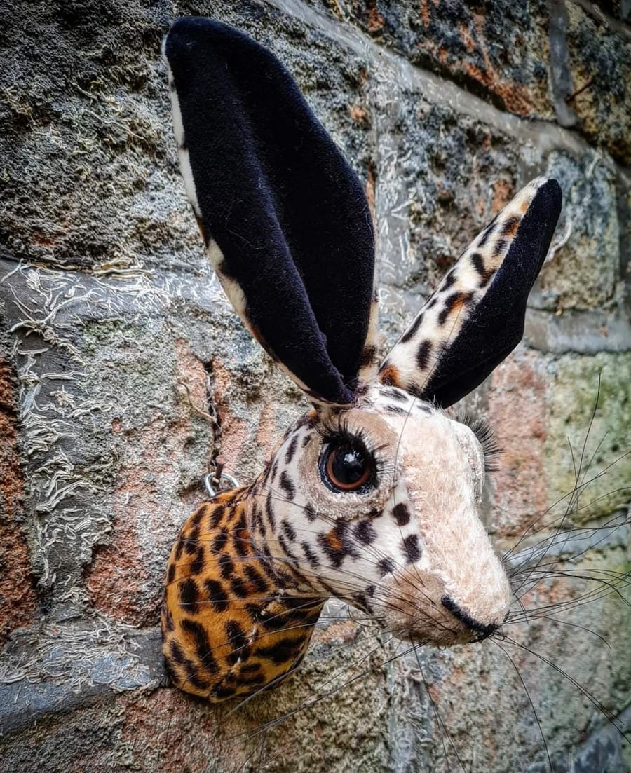 Faux hare head wall mount in faux cheetah print velvet- Miss Lily