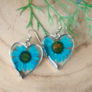Pressed flower Earrings