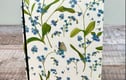 Concertina Photo Albums