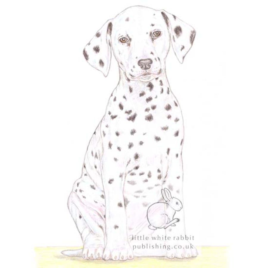 Dot the Dalmatian - Blank Card