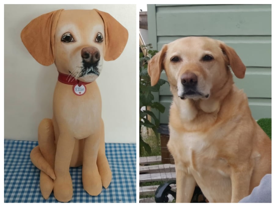 Labrador or Golden Retriever