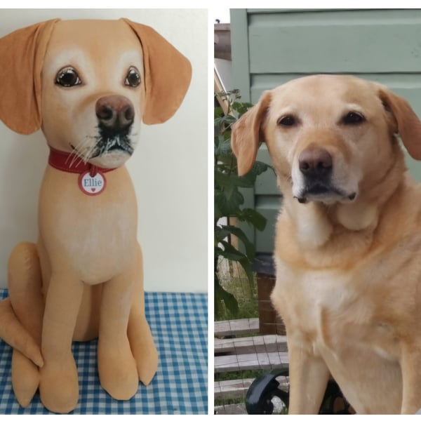 Labrador or Golden Retriever