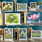 Selection pack of eight greeting cards: Flora