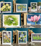 Selection pack of eight greeting cards: Flora